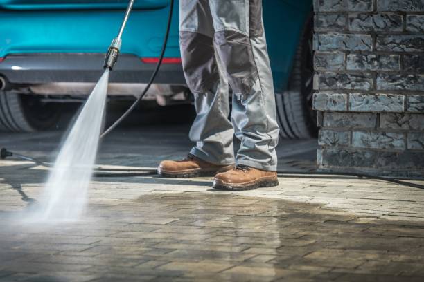 Best Winterizing Services  in Redington Shores, FL