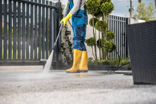 Best Fence Cleaning  in Redington Shores, FL