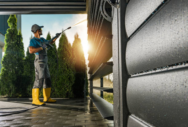 Best Gutter Cleaning  in Redington Shores, FL