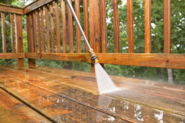 Best Sidewalk and Walkway Cleaning  in Redington Shores, FL